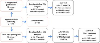 The impact of pelvic floor electrical stimulation on vaginal microbiota and immunity